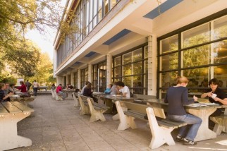 Studierendenwerk Berlin Mensa Veggie 1 Die Grune Mensa